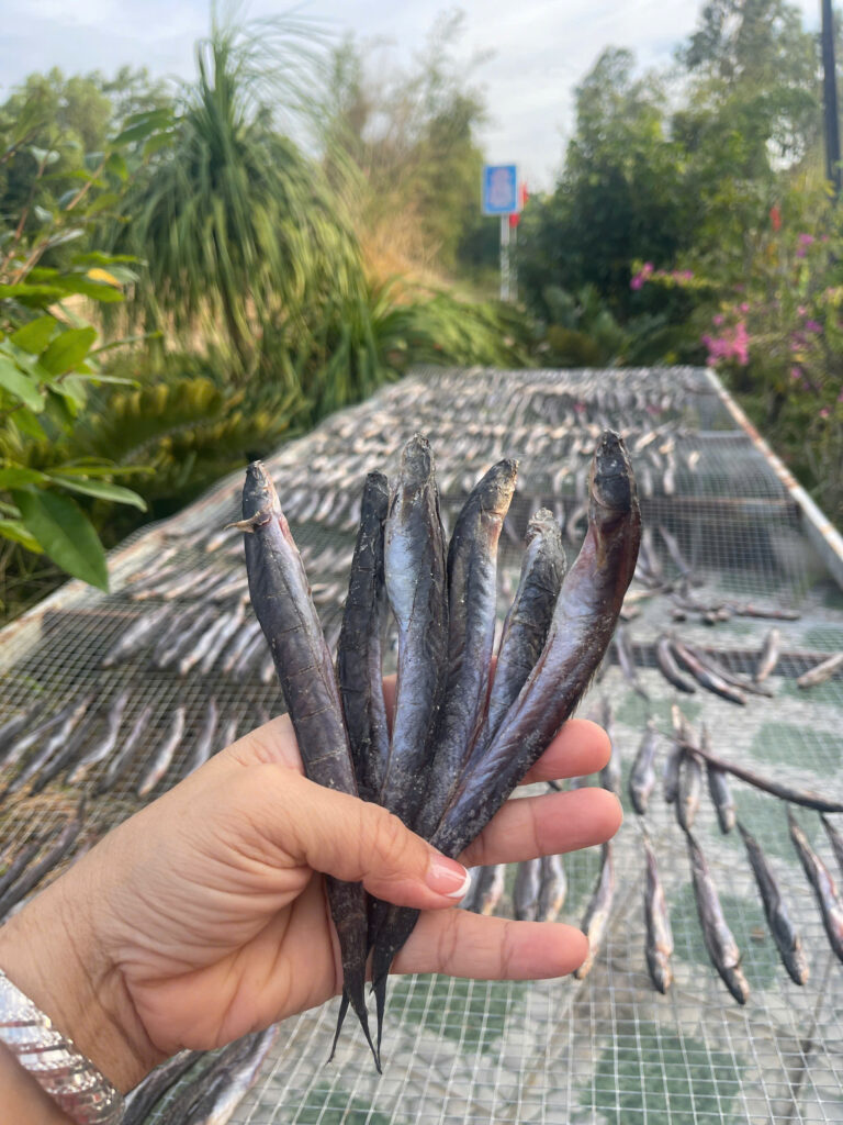 fresh2home (6)