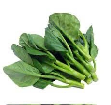 Mồ̀ng tơi